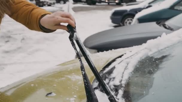 Vrouw in een warm bruin jasje in de tuin reinigt de ruitenwissers van sneeuw — Stockvideo