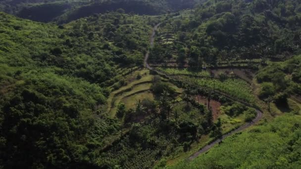 Clean environment in which grow environmentally friendly products. Ecology without pollution from enterprises and factories. Rice fields in valley surrounded by forested mountains in rural asia — Stock Video