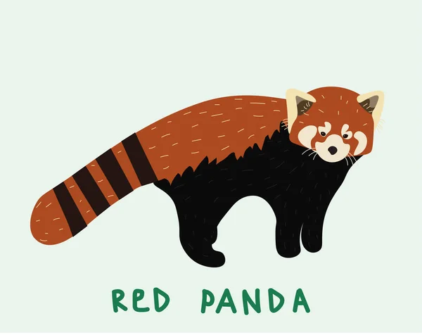 Panda Vermelho Simplesmente Ilustração Vetorial — Vetor de Stock