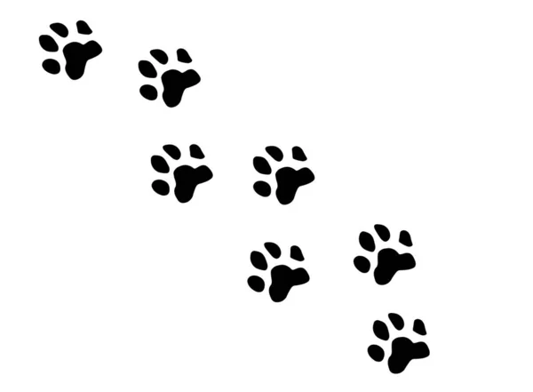 Trail Paw Prints Vector Illustration — Stock Vector