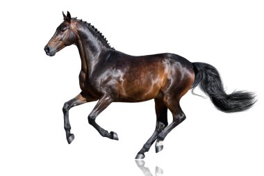 Defne at izole çalıştırmak