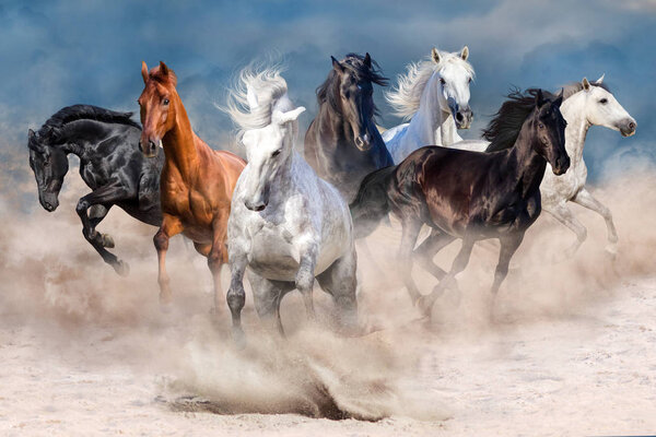 Horses run in desert