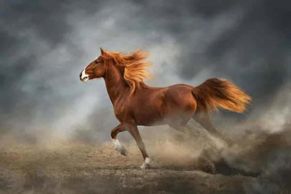 Etalon Rouge Avec Longue Crinière Courir Rapidement Contre Ciel Dramatique — Photo