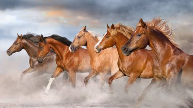 Horse herd  galloping on sandy dust against sky clipart