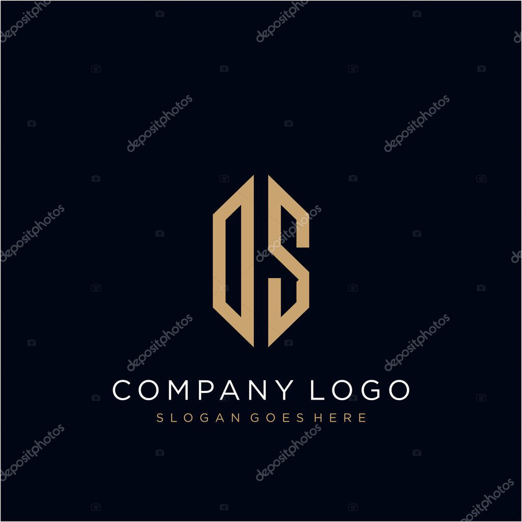 DS  Letter logo icon design template elements