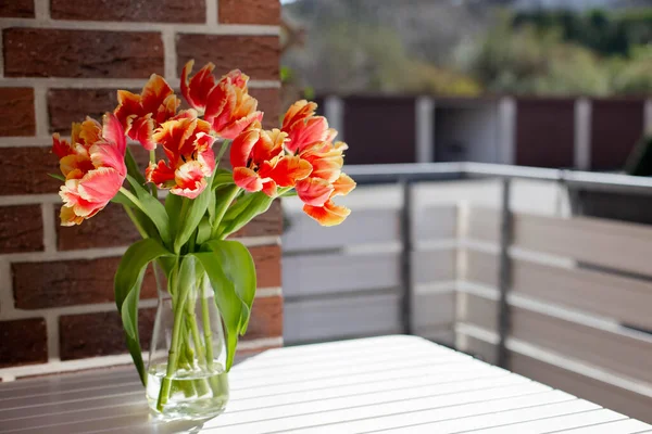 Beautiful pink-yellow parrot tulips in a glass vase on a white wooden chair. Outdoor, on the balcony or terrace. Blurred background. Close-up. Copy space.