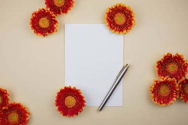 Güzel Gerbera çiçekleri ve açık bej arka planda boş bir kartın olduğu düz bir kompozisyon. Olay Tasarım Konsepti, Sevgililer Günü, Anneler Günü, Düğün Günü, Bayram Davetiyesi. Boşluğu kopyala. 