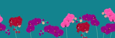 Çiçek desenli arka plan ve pembe, kırmızı ve mor orkidelerle sınırları var. Egzotik tropikal çiçekli çerçeve dikişsiz desen. Duvar kağıtları, hediyeler, tekstil, ipek, ambalaj tasarımı için harika.
