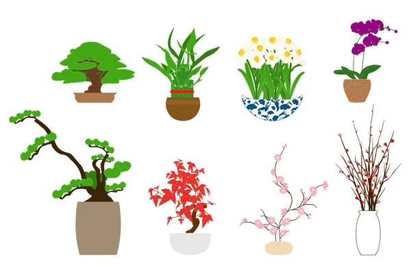 Dekorative Zimmerpflanzen Chinesischen Oder Japanischen Stil Asiatische Zimmerpflanzen Glückspflanzen Und — Stockvektor