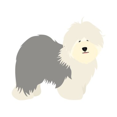 Doodle Old English çoban köpeği yavrusu beyaz arka planda yanlamasına duruyor. Tatlı çizgi film, uzun saçlı köpek yavrusu. Çocuksu vektör çizimi. Simge, sembol, çocuk kitabı tasarımı için harika..