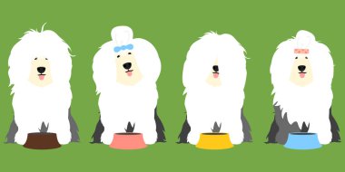 Yemek kasesinin arkasında aç yaşlı İngiliz çoban köpeği otların arka planında ve sınırlarda dil yalıyor. Tatlı çizgi film, uzun saçlı köpek arkaplanı. Duvar kağıtları, çocuk giysileri, kumaş, ambalaj için harika..