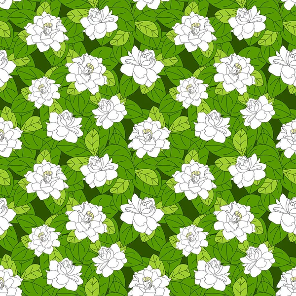 Summer flowering shrub in full bloom of Gardenia jasminoides or Cape jasmine flower seamless pattern background. Tropical Gardenia flower bush background. Great for wallpaper, card, packaging, fabric