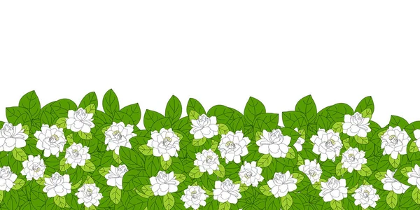 Gardenia Jasminoidesストックベクター ロイヤリティフリーgardenia Jasminoidesイラスト Depositphotos Gardenia Jasminoidesストックベクター ロイヤリティフリーgardenia Jasminoidesイラスト Depositphotos