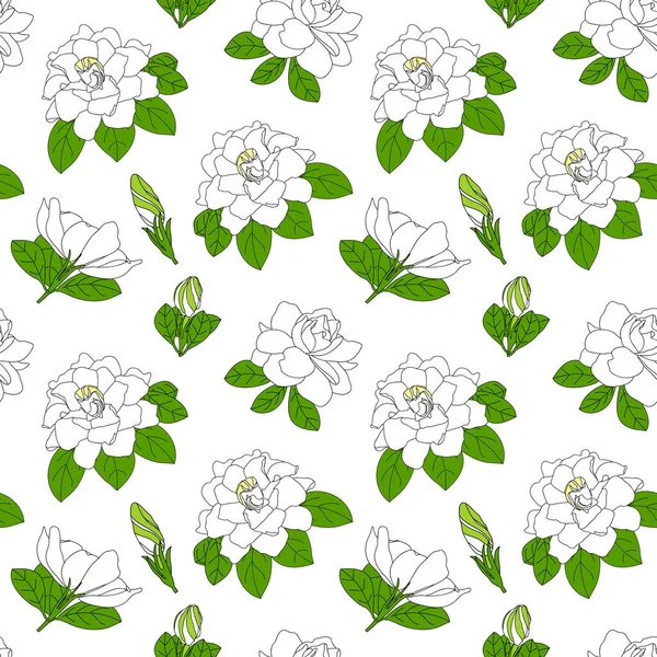 Beyaz Gardenya Yaseminleri Cape Jasmine Çiçeğinin Yapraklı Tomurcuklu Kusursuz Desenli — Stok Vektör