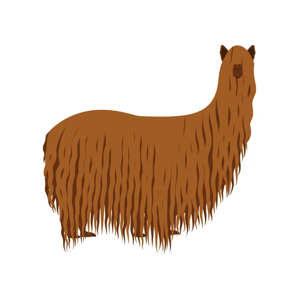 Fibra De Alpacaストックベクター ロイヤリティフリーfibra De Alpacaイラスト Depositphotos