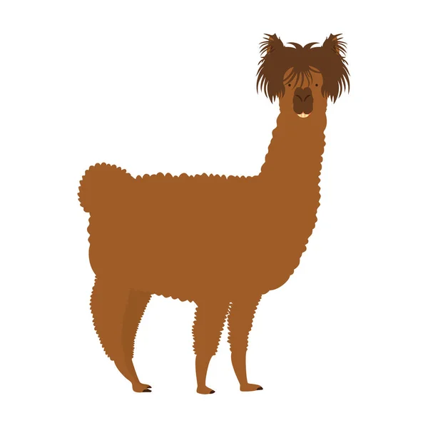 Vektor Logo Alpacaストックベクター ロイヤリティフリーvektor Logo Alpacaイラスト ページ 6 Depositphotos