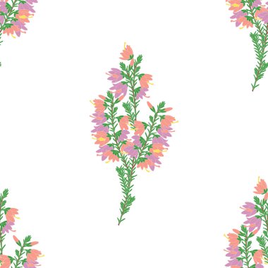 Mor ve pembe kenevir çiçekleri ya da Calluna 'nın kusursuz desenli arka planı. El çizimi romantik çiçek desenli arka plan. Duvar kağıdı, tekstil, kumaş, kart, ambalaj, düğün tasarımı için harika..