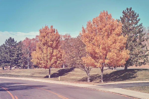 Retro stylized autumn trees along a road. — Stock Photo, Image