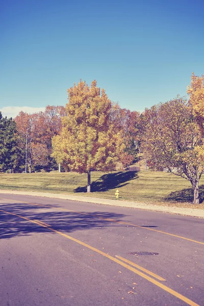 Vintage tonificado árvores de outono ao longo de uma estrada — Fotografia de Stock