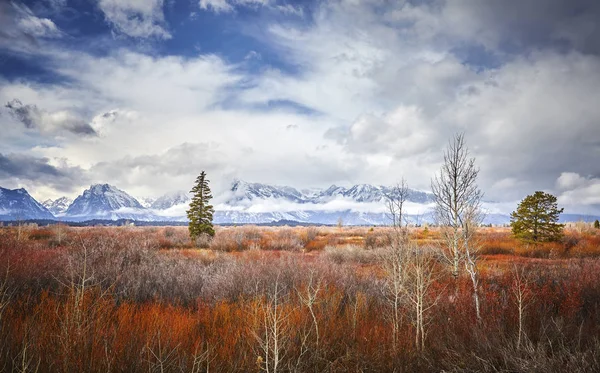 Jesienny krajobraz w Grand Teton National Park, Wyoming, Usa — Zdjęcie stockowe