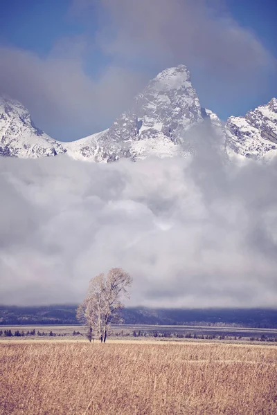 Vintage tonas Teton bergskedja, Wyoming, Usa. — Stockfoto