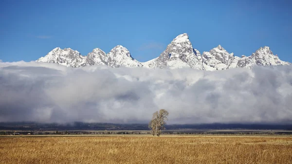 Tetongebergte bergen in de Grand Teton National Park, Wyoming, — Stockfoto