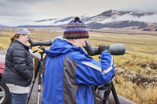 Dwóch obserwatorów kobiece z dzikiej przyrody, obserwując stado wilków w zimny deszczowy dzień. — Zdjęcie stockowe