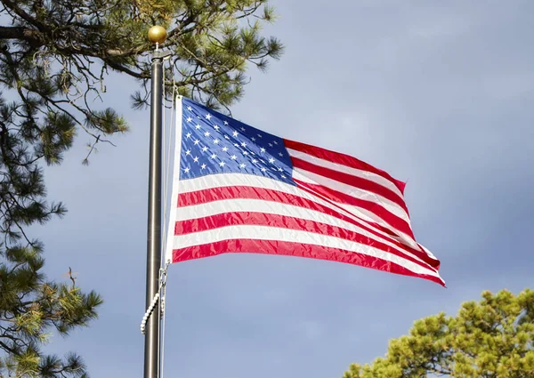 Αμερικανική σημαία που φυσάει ο άνεμος σε ένα πάρκο. — Φωτογραφία Αρχείου