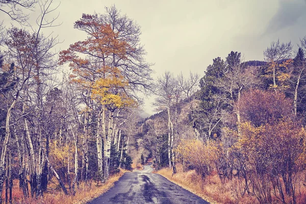 Vintage tónovaný podzimní cesta po dešti. — Stock fotografie