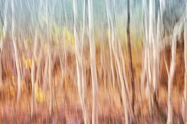 Motion blurred autumn forest, abstract nature background. — Stock Photo, Image