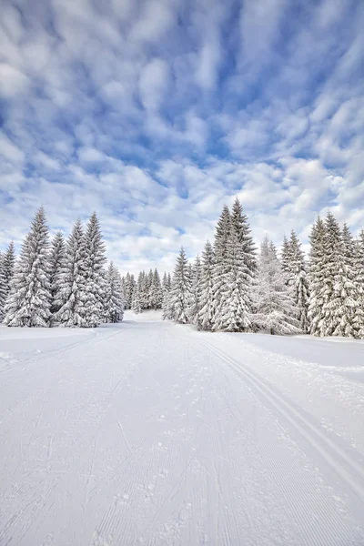 Zimní krajina s běžecké stopy. — Stock fotografie