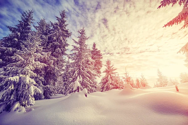 Barva tónovaný zimní krajina při západu slunce. — Stock fotografie