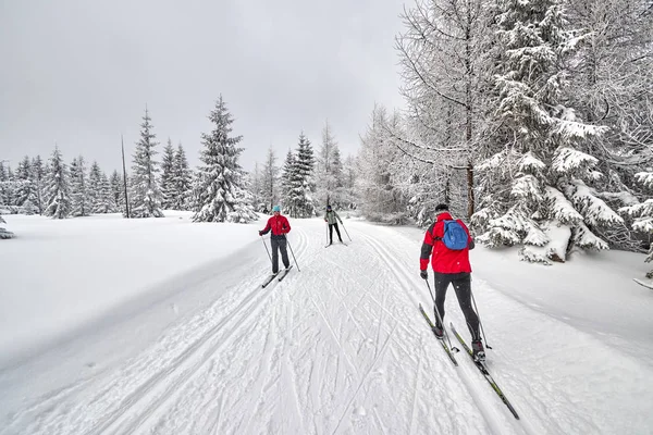 Cross-country skiers running on prepared tracks in snow on a cloudy day. — Stock Photo, Image