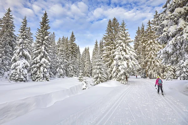 Paisagem de inverno com pistas de esqui cross-country e esquiador . — Fotografia de Stock