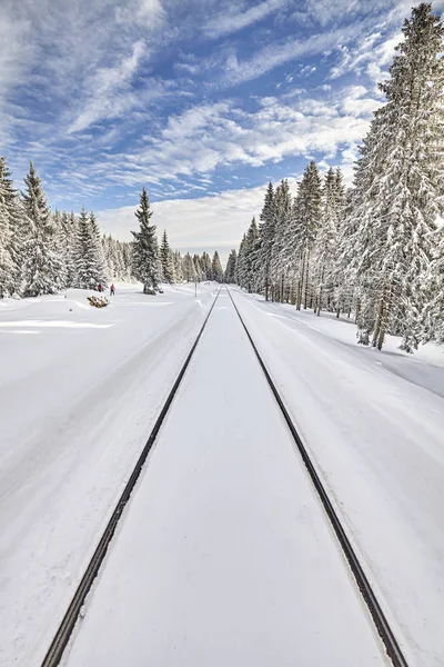 Karda demiryolu rayları, kış manzarası — Stok fotoğraf