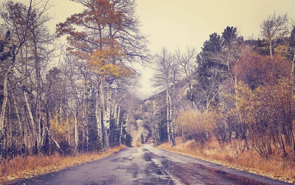 Color toned road after the rain. — Stock Photo, Image