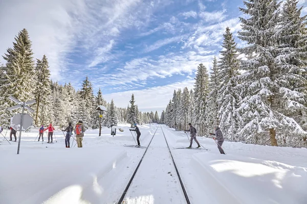 Лыжники, проходящие по железной дороге в лесу . — стоковое фото