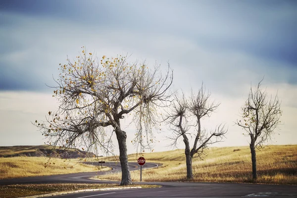Trzy drzewa drogowego i znak stop, retro streszczenie stylizowane podróży brazy — Zdjęcie stockowe