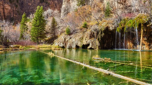 Omgevallen bomen in hangende Lake, Colorado, Usa. — Stockfoto