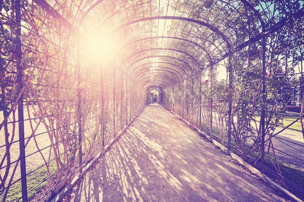 Túnel de pérgula de jardim tonificado de cor contra o sol . — Fotografia de Stock