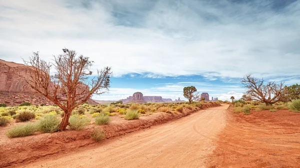 Vista panoramica di una strada sterrata nella Monument Valley . — Foto Stock