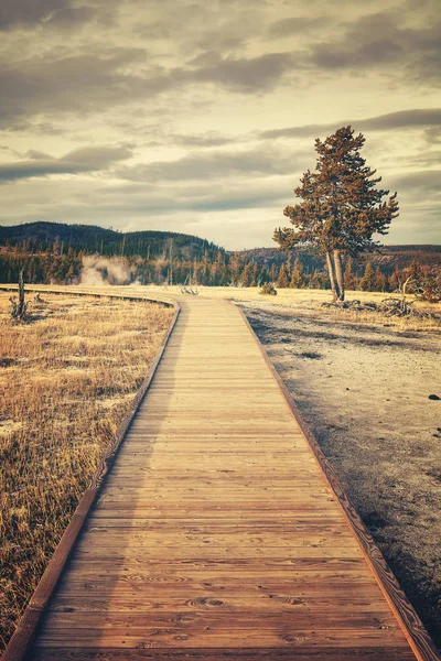 Retro getöntes Bild von Holzpfad im Yellowstone Nationalpark — Stockfoto