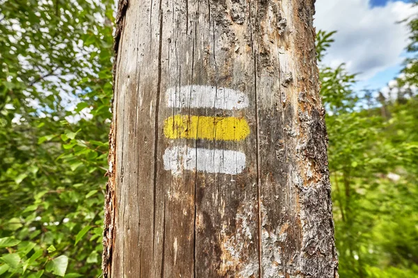 Primo piano di un sentiero che segna dipinto sull'albero . — Foto Stock