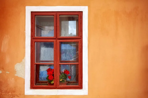 Ein altes Fenster mit roten Blumen in oranger Wand. — Stockfoto