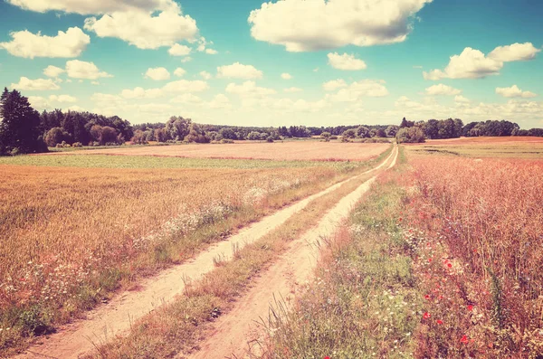 Imagen tonificada vintage de un camino rural —  Fotos de Stock