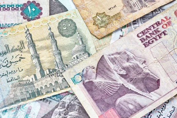 Närbild bild av egyptiska pounds. — Stockfoto