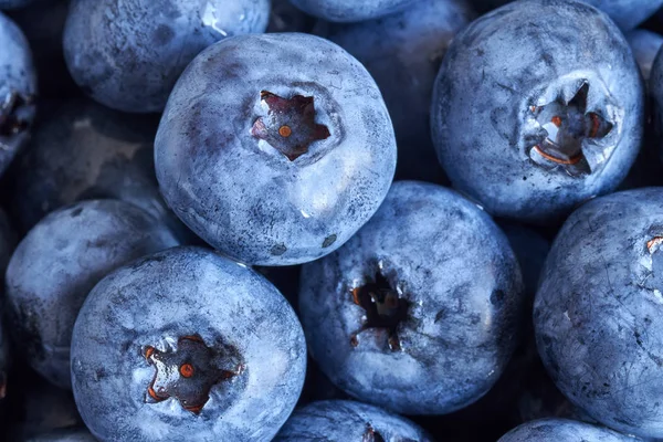 Extreme close up picture of ripe and fresh blueberries. — Stock Photo, Image