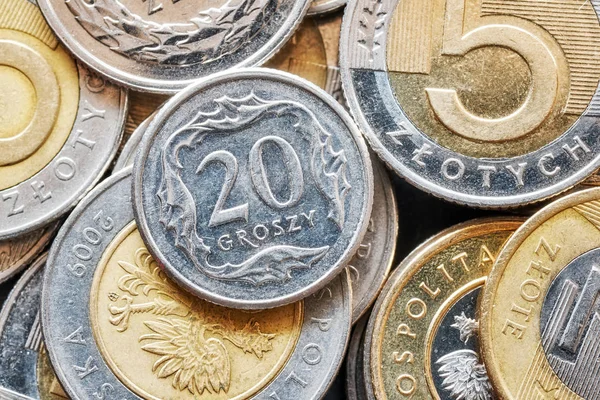 Foto da vicino delle monete polacche Zloty . — Foto Stock