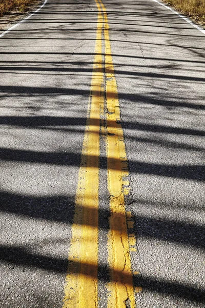 木の長い影のアスファルト道路. — ストック写真