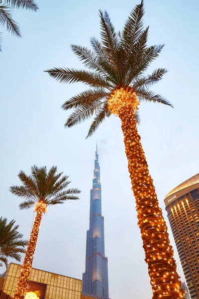 Looking up view of illuminated palm trees, Dubai Mall and Burj Khalifa facade at dusk. — Stock Photo, Image